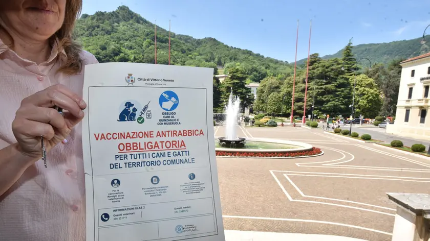 Vittorio Veneto, campagna vaccino antirabbico per cani e gatti: info e prenotazioni