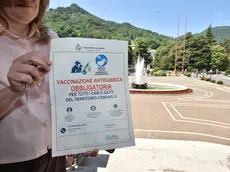 Vittorio Veneto, campagna vaccino antirabbico per cani e gatti: info e prenotazioni