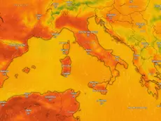 Meteo Veneto: arriva l’anticiclone africano, prima ondata di caldo con temperature fino a 35 gradi (foto Windy)