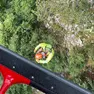 L'operazione di salvataggio dei vigili del fuoco
