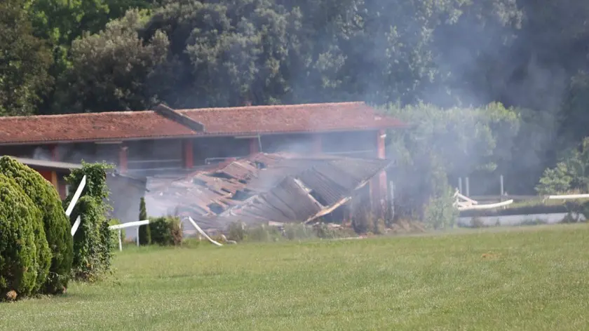 La stalla dell'ippodromo Sant'Artemio crollata a causa dell'incendio