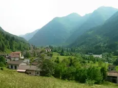 La zona dove è stato ritrovato l'orso bruno morto a Vito d'Asio