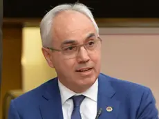 Mario Pozza. Il presidente della Camera di Commercio di Treviso-Belluno