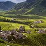 Colline del Prosecco