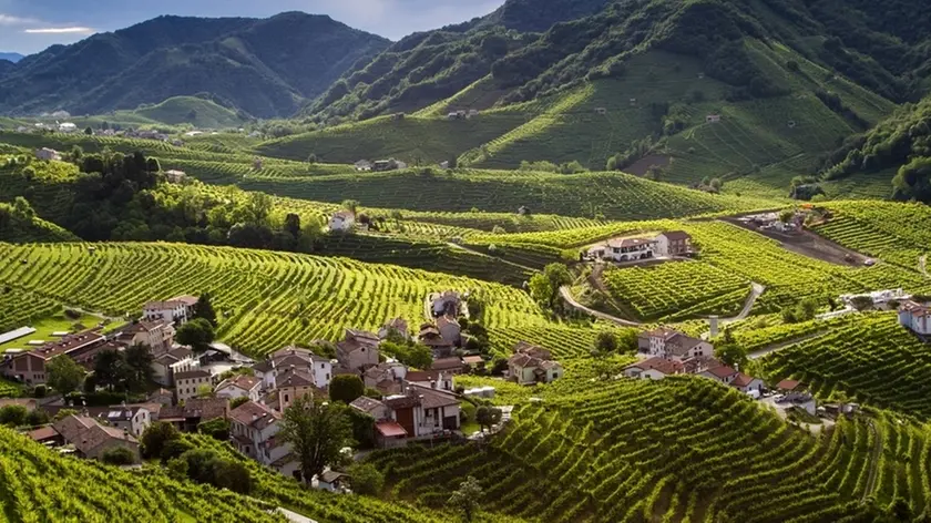 Colline del Prosecco