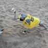 Il cane bagnino in azione