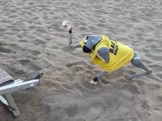 Il cane bagnino in azione