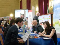 Colloqui di lavoro tra studenti e datori di lavoro