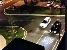 Un frame del video delle corse clandestine avvenute a Treviso qualche settimana fa