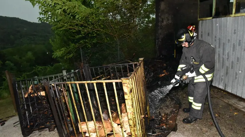 I vigili del fuoco impegnati per la caduta di un fulmine (foto Cavicchi/Macca)