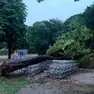Un albero abbattuto sulle mura di Treviso