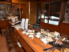 La gioielleria Collodel dopo il raid (foto Cavicchi/Macca)