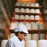 Agroalimentare, la Marca cresce