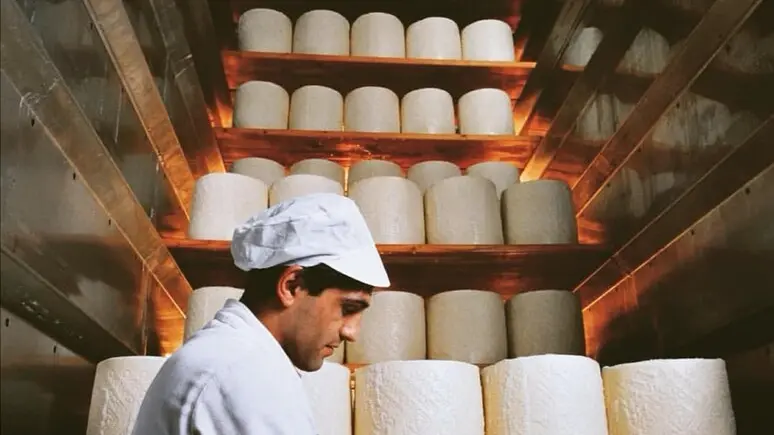 Agroalimentare, la Marca cresce