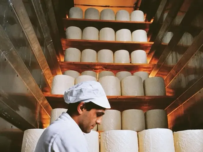 Agroalimentare, la Marca cresce