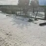 Maltempo a Fontanelle, grandine fino a 4 centimetri: devastati vigneti, orti e coltivazioni
