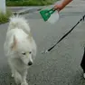 A spasso con il cane muniti di paletta raccogli-deiezioni