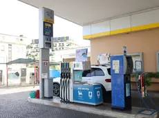 Fine del taglio delle accise: a Treviso la benzina è sopra i 2 euro