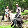 Ivo Romanelli con la compagna e le capre: ogni animale ha il nome di un mito dell’heavy metal