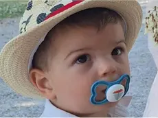 Il bambino morto investito a Zero Branco