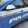 Il 19enne è stato arrestato subito dopo il tentato furto