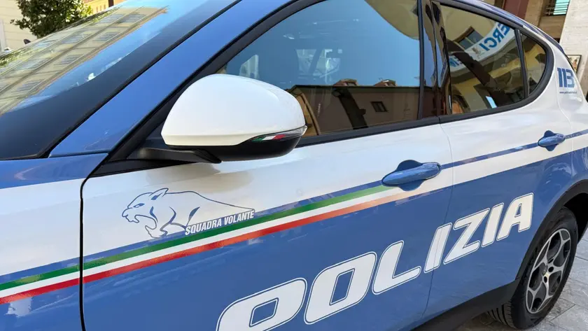 Il 19enne è stato arrestato subito dopo il tentato furto