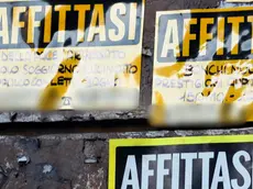 Stipendi fermi, affitti alle stelle: la situazione nel trevigiano