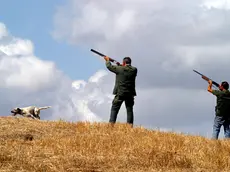 Restano aperti altri aspetti del ricorso, come l'impiego di munizioni al piombo