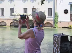 Una turista in visita a Treviso