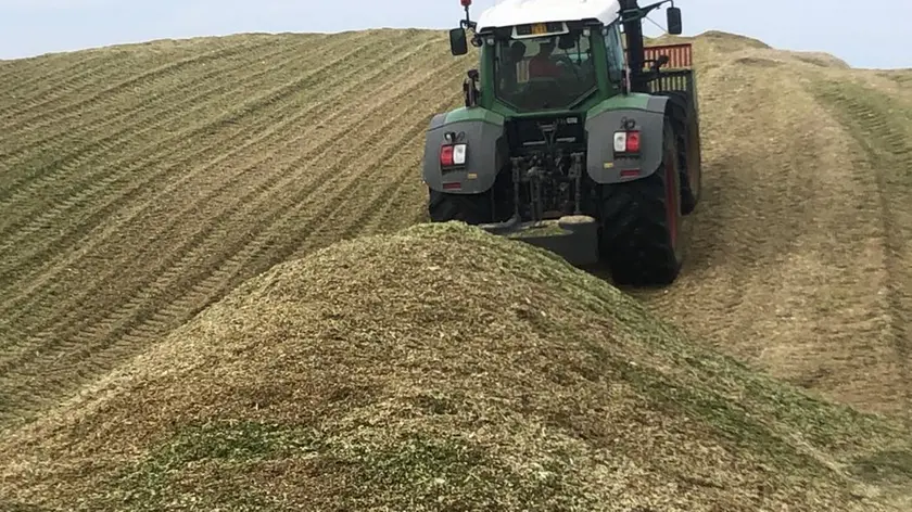 Caldo e siccità, agricoltura trevigiana a rischio