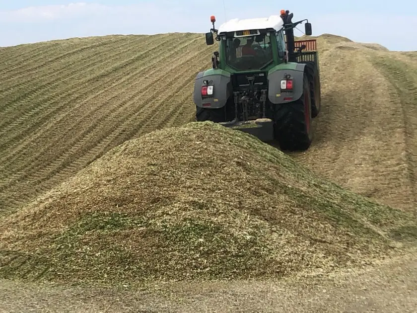 Caldo e siccità, agricoltura trevigiana a rischio