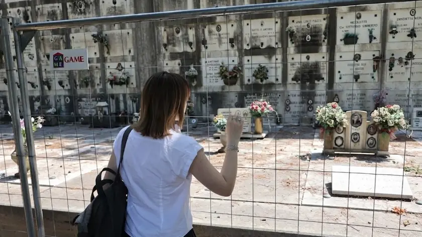 Il cimitero di Treviso è invaso dalle zanzare