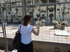 Il cimitero di Treviso è invaso dalle zanzare