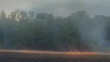 Fiamme lungo il Piave a Pederobba
