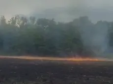 Fiamme lungo il Piave a Pederobba