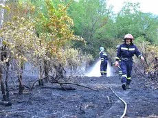 Incendio a Pederobba (foto Macca)