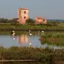 Delta del Po
