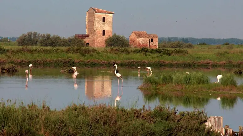 Delta del Po