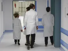 L'Ulss 2 di Treviso ha assunto due medici di famiglia