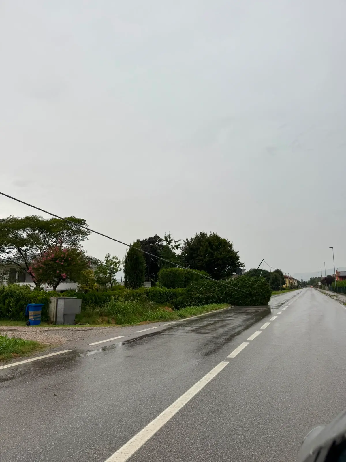 Un albero caduto a causa del maltempo