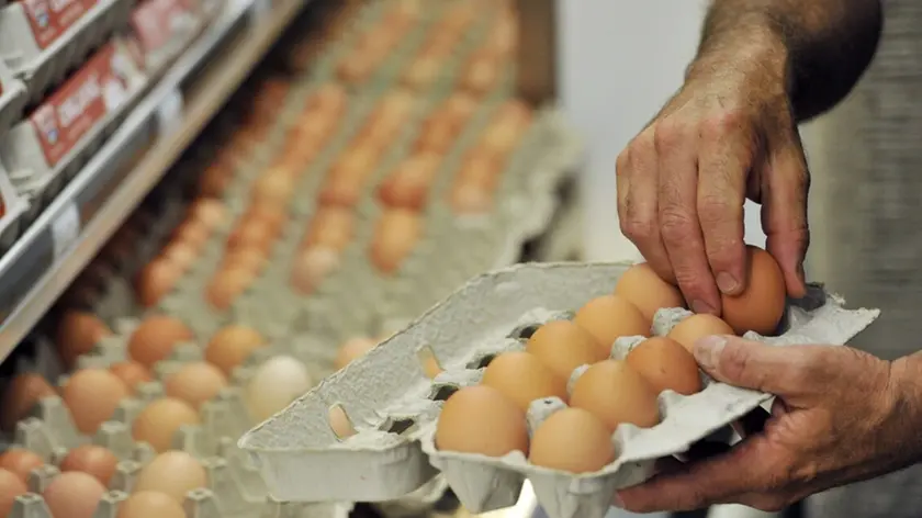 Uova Aia e Selex ritirate per rischio salmonella