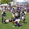 Una partita del trofeo di minirugby Città di Treviso