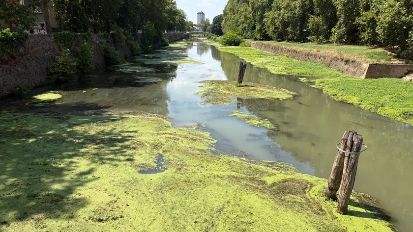 Il Brenta in secca