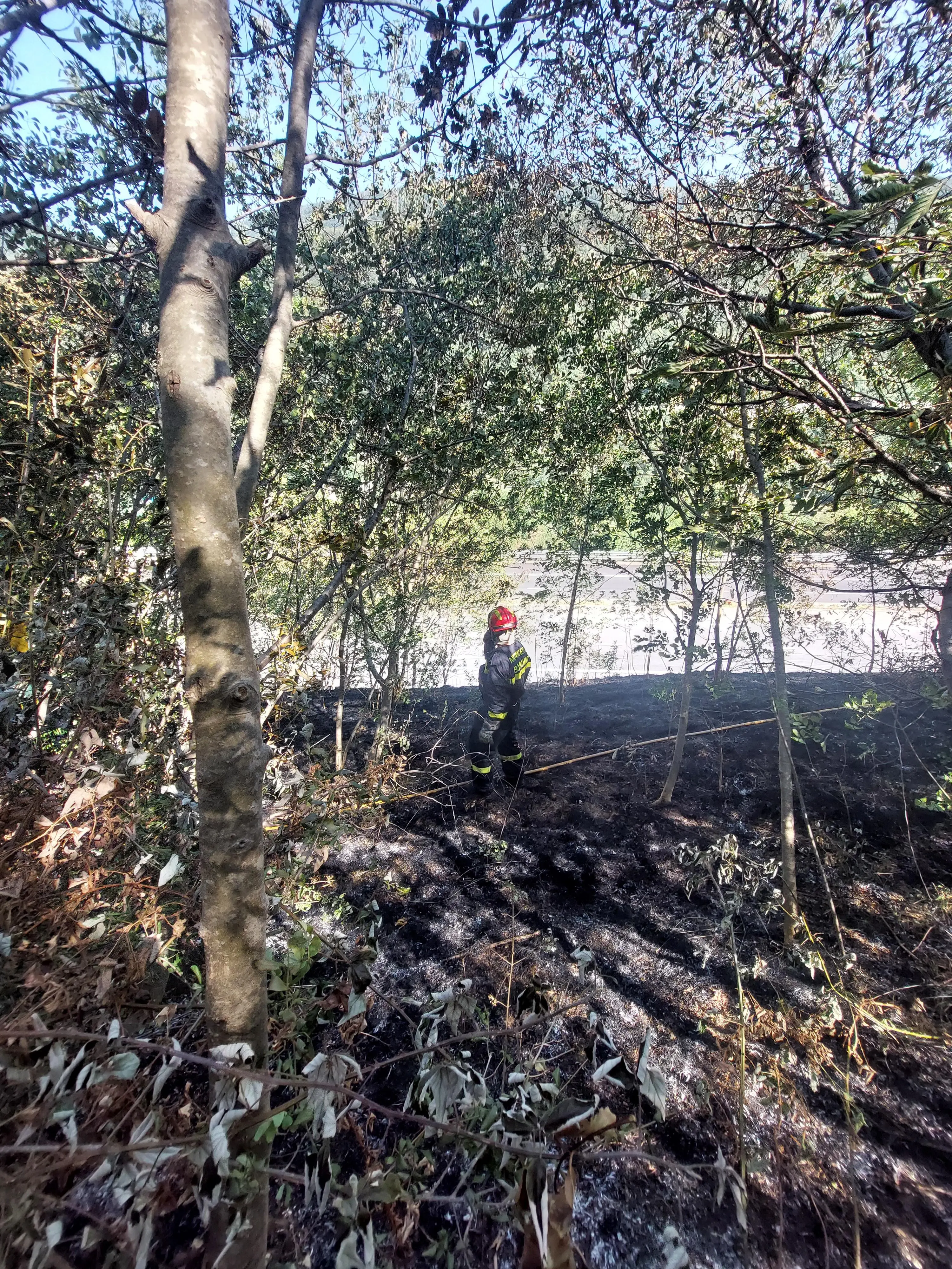 In corso gli accertamenti per delineare quale sia stata la causa dell'incendio
