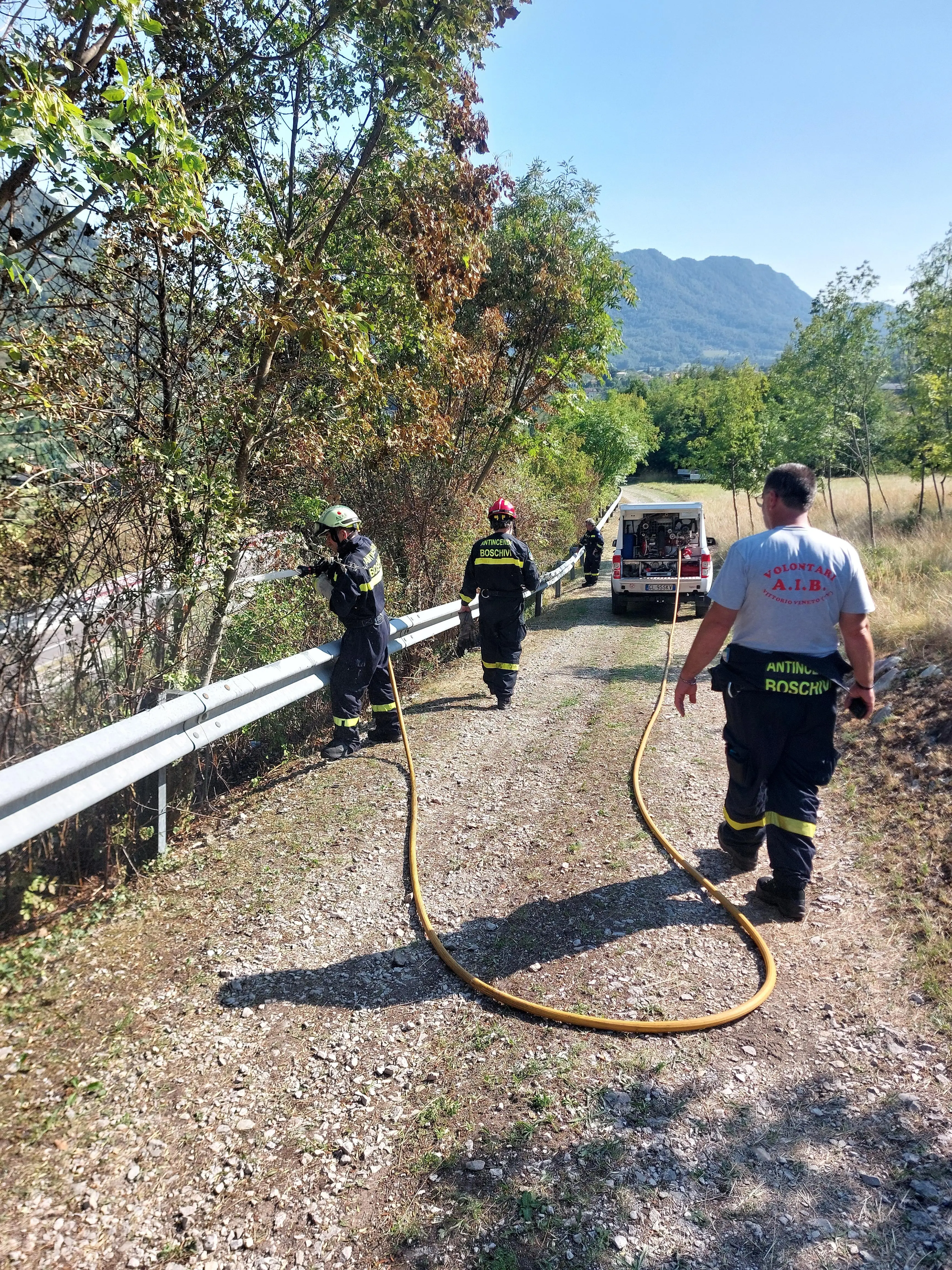 Sul posto vigili del fuoco e volontari