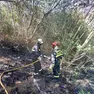 Dopo circa tre ore le fiamme sono state domate
