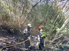 Dopo circa tre ore le fiamme sono state domate