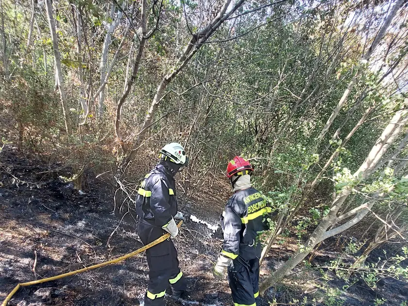 Dopo circa tre ore le fiamme sono state domate