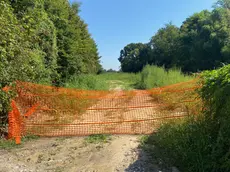 Casier, variante di via delle Industrie al via dopo un anno di attesa: cantiere da 38 milioni