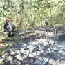 Incendi a Vittorio Veneto